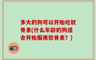 多大的狗可以开始吃软骨素(什么年龄的狗适合开始服用软骨素？)