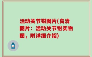 活动关节钳图片(高清图片：活动关节钳实物图，附详细介绍)