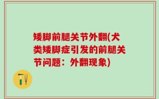 矮脚前腿关节外翻(犬类矮脚症引发的前腿关节问题：外翻现象)