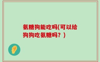 氨糖狗能吃吗(可以给狗狗吃氨糖吗？)