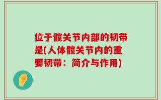位于髋关节内部的韧带是(人体髋关节内的重要韧带：简介与作用)