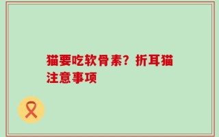 猫要吃软骨素？折耳猫注意事项