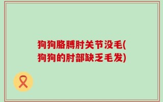 狗狗胳膊肘关节没毛(狗狗的肘部缺乏毛发)
