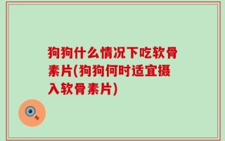 狗狗什么情况下吃软骨素片(狗狗何时适宜摄入软骨素片)