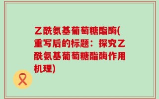 乙酰氨基葡萄糖酯酶(重写后的标题：探究乙酰氨基葡萄糖酯酶作用机理)