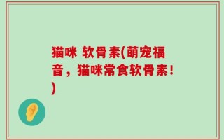 猫咪 软骨素(萌宠福音，猫咪常食软骨素！)