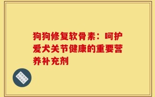 狗狗修复软骨素：呵护爱犬关节健康的重要营养补充剂