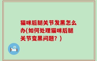 猫咪后腿关节发黑怎么办(如何处理猫咪后腿关节变黑问题？)