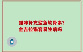 猫咪补充鲨鱼软骨素？金吉拉猫容易生病吗
