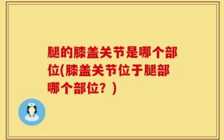 腿的膝盖关节是哪个部位(膝盖关节位于腿部哪个部位？)