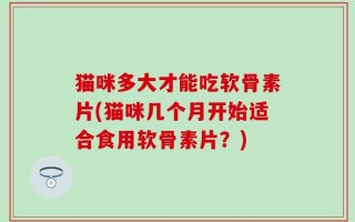 猫咪多大才能吃软骨素片(猫咪几个月开始适合食用软骨素片？)