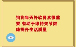 狗狗每天补软骨素很重要 有助于维持关节健康提升生活质量