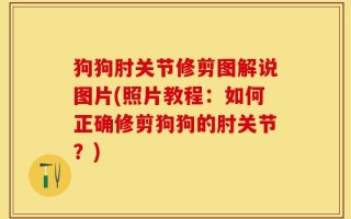 狗狗肘关节修剪图解说图片(照片教程：如何正确修剪狗狗的肘关节？)