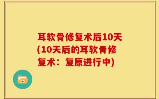 耳软骨修复术后10天(10天后的耳软骨修复术：复原进行中)