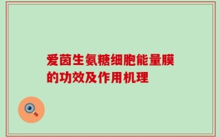 爱茵生氨糖细胞能量膜的功效及作用机理