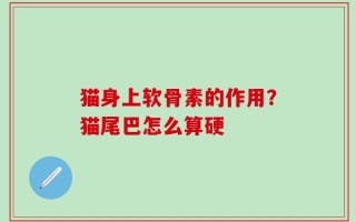 猫身上软骨素的作用？猫尾巴怎么算硬