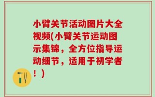 小臂关节活动图片大全视频(小臂关节运动图示集锦，全方位指导运动细节，适用于初学者！)