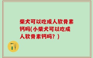 柴犬可以吃成人软骨素钙吗(小柴犬可以吃成人软骨素钙吗？)