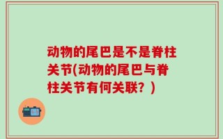 动物的尾巴是不是脊柱关节(动物的尾巴与脊柱关节有何关联？)
