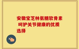 安徽宝芝林氨糖软骨素 呵护关节健康的优质选择