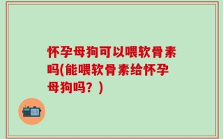 怀孕母狗可以喂软骨素吗(能喂软骨素给怀孕母狗吗？)