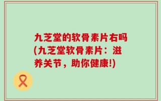 九芝堂的软骨素片右吗(九芝堂软骨素片：滋养关节，助你健康!)