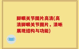 脚眼关节图片高清(高清脚眼关节图片，清晰展现结构与功能)