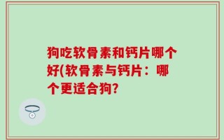 狗吃软骨素和钙片哪个好(软骨素与钙片：哪个更适合狗？