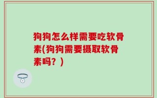 狗狗怎么样需要吃软骨素(狗狗需要摄取软骨素吗？)