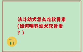法斗幼犬怎么吃软骨素(如何喂养幼犬软骨素？)