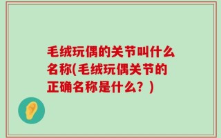 毛绒玩偶的关节叫什么名称(毛绒玩偶关节的正确名称是什么？)