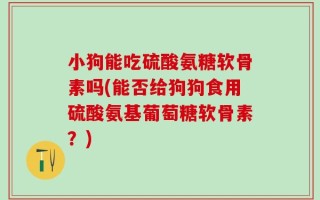小狗能吃硫酸氨糖软骨素吗(能否给狗狗食用硫酸氨基葡萄糖软骨素？)