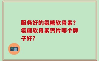 服务好的氨糖软骨素？氨糖软骨素钙片哪个牌子好？