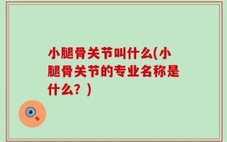 小腿骨关节叫什么(小腿骨关节的专业名称是什么？)