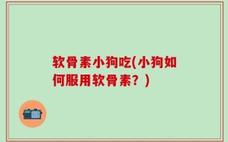 软骨素小狗吃(小狗如何服用软骨素？)