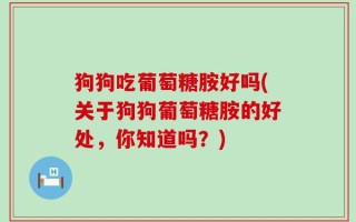 狗狗吃葡萄糖胺好吗(关于狗狗葡萄糖胺的好处，你知道吗？)