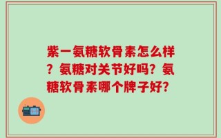 紫一氨糖软骨素怎么样？氨糖对关节好吗？氨糖软骨素哪个牌子好？