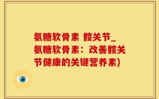 氨糖软骨素 髋关节_氨糖软骨素：改善髋关节健康的关键营养素)