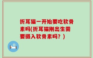 折耳猫一开始要吃软骨素吗(折耳猫刚出生需要摄入软骨素吗？)
