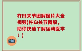 杵臼关节图解图片大全视频(杵臼关节图解，助你快速了解运动医学！)