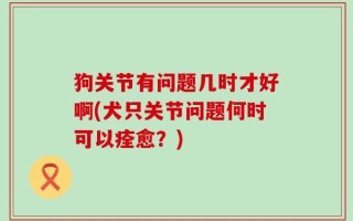 狗关节有问题几时才好啊(犬只关节问题何时可以痊愈？)
