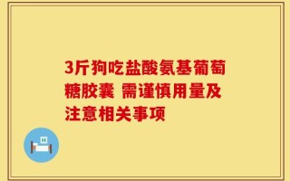 3斤狗吃盐酸氨基葡萄糖胶囊 需谨慎用量及注意相关事项