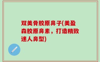 双美骨胶原鼻子(美盈森胶原鼻素，打造精致迷人鼻型)
