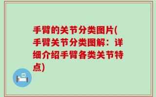 手臂的关节分类图片(手臂关节分类图解：详细介绍手臂各类关节特点)