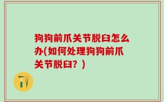 狗狗前爪关节脱臼怎么办(如何处理狗狗前爪关节脱臼？)
