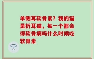 单侧耳软骨素？我的猫是折耳猫，每一个都会得软骨病吗什么时候吃软骨素