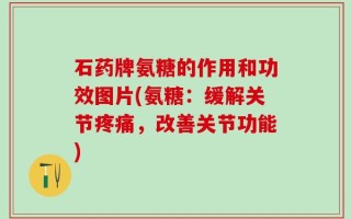 石药牌氨糖的作用和功效图片(氨糖：缓解关节疼痛，改善关节功能)