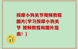 按摩小狗关节视频教程图片(学习按摩小狗关节 视频教程和图片指南！)
