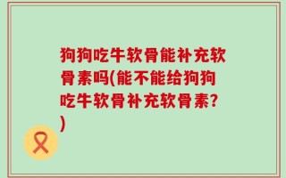 狗狗吃牛软骨能补充软骨素吗(能不能给狗狗吃牛软骨补充软骨素？)