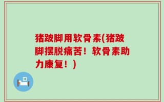 猪跛脚用软骨素(猪跛脚摆脱痛苦！软骨素助力康复！)